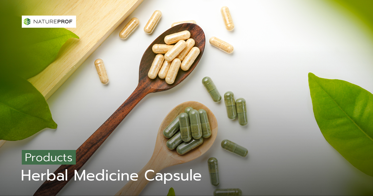 Herbal Medicine Capsule Manufacturing Ready for Registration with Natureprof (OEM/ODM Factory) 