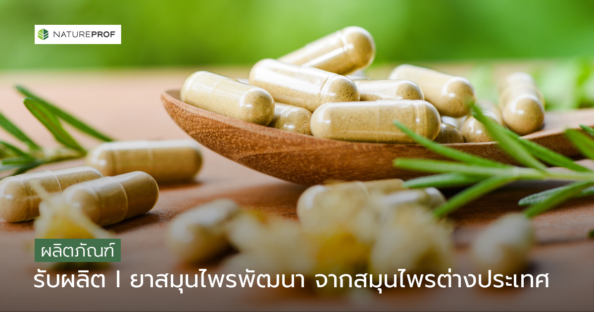 รับผลิตยาสมุนไพรพัฒนา จากสมุนไพรต่างประเทศ (Advanced Herbal Medicines)พร้อมยกระดับแบรนด์สู่ตลาดสากล กับ Natureprof (โรงงาน OEM/ODM)