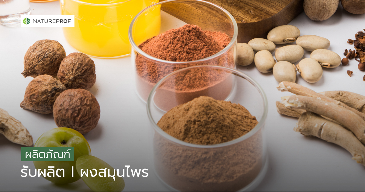 รับผลิตผงสมุนไพร (Herbal Powder) ด้วยเทคโนโลยีสมัยใหม่ กับ Natureprof (โรงงาน OEM/ODM)
